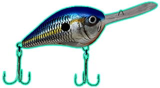 Rapala Pro Bass Fishing (modded)
