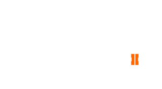 Call of Duty®: Black Ops II (modded)